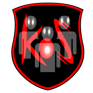 IrishReaper85's emblem