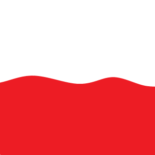 Polscy Patrioci's emblem
