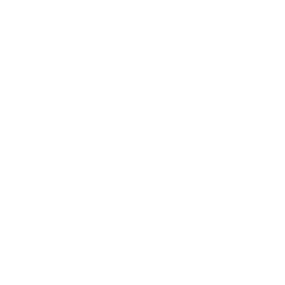 josegneto10's emblem