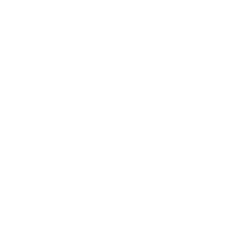 Budixson's emblem
