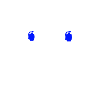 buddaboy7020's emblem
