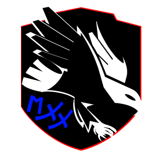 19T3DDy98's emblem