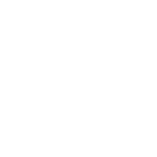 PunisherMark's emblem
