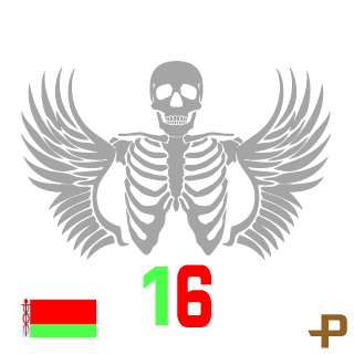 16sascha16's emblem