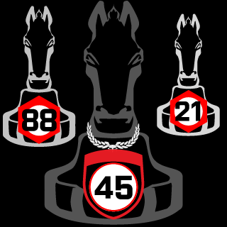 reitermax29's emblem