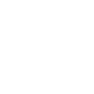 Chaasehawk's emblem