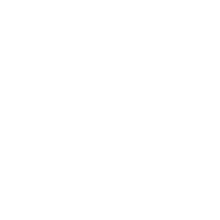 X BR33D's emblem
