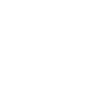 EchoZreaper's emblem