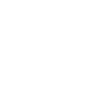 zmey066's emblem