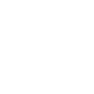 F1restarter1's emblem