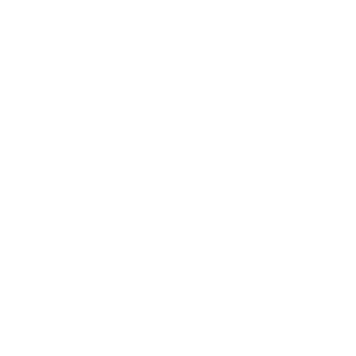 Playmobil5697's emblem