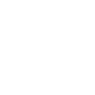 zoiao2008's emblem