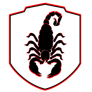 vElementalSpirit's emblem