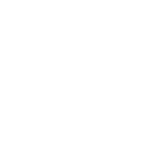 msan80's emblem