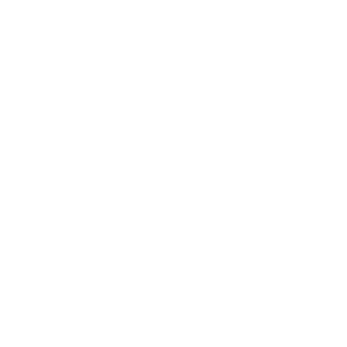 Martin1171997's emblem