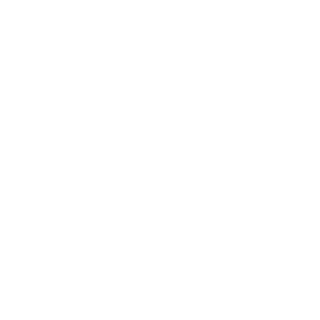DFN_B5's emblem