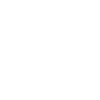 SAL_A_IT_NE's emblem