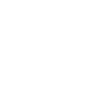 Stumpfes_Trauma's emblem