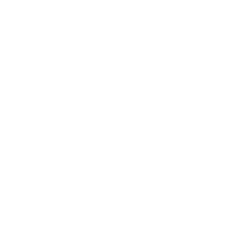 Wik3X's emblem