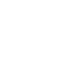 _ThunderOFWolf_'s emblem