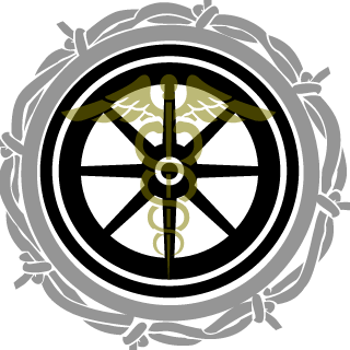 Aviators's emblem