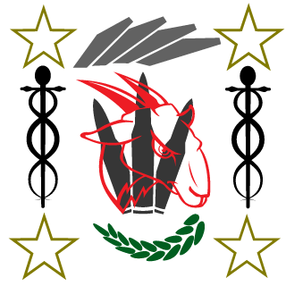 xTheSkiller007's emblem
