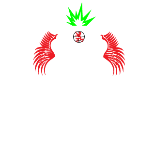 wesam9o's emblem