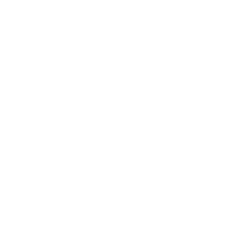 BIGMOSES250's emblem