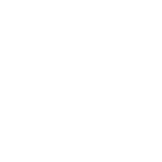 SniperPunisherBR's emblem