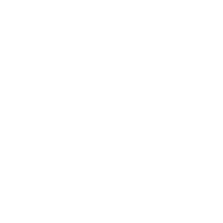 -FEIDENframe's emblem