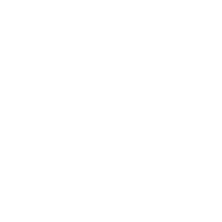 SmoDyLife's emblem