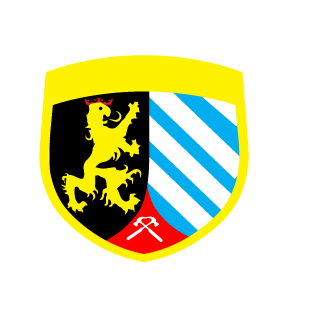Sski11exX's emblem