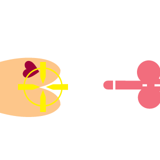 tank_1981's emblem