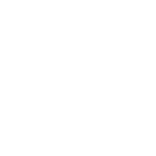 Okkupant's emblem
