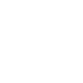 PoloTrooper's emblem