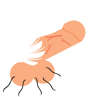 imhardgaey's emblem