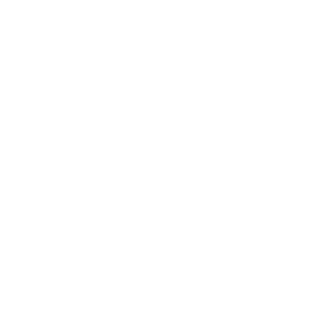 Iightpollution's emblem
