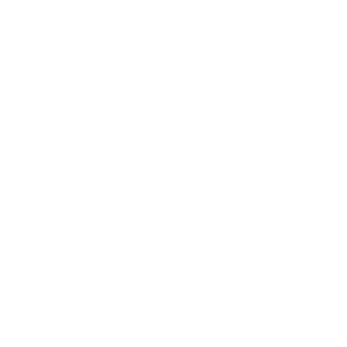 ProjetilDeBala's emblem