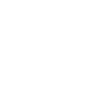 BennoSne's emblem