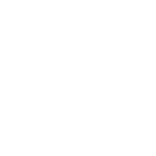2X40W's emblem