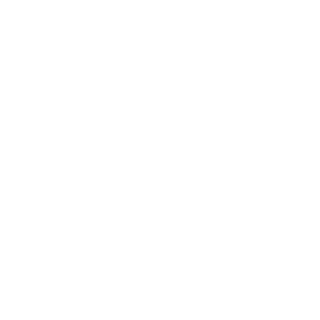 0M1S33DS's emblem