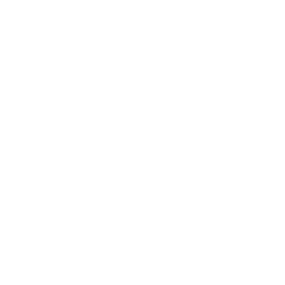 Elmerss's emblem
