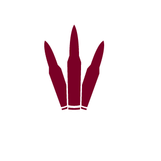 Snoogaloo's emblem