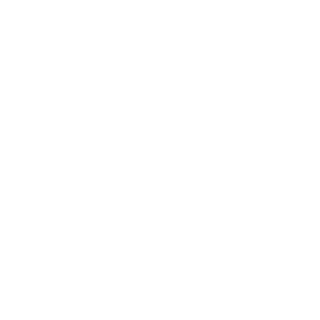 Densupport's emblem