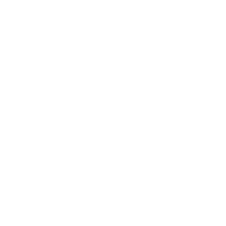 chr0niiik's emblem