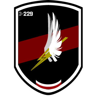 SkiIlz229's emblem