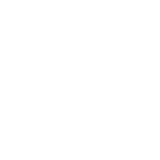i_5aaL101's emblem