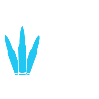 vroTao's emblem
