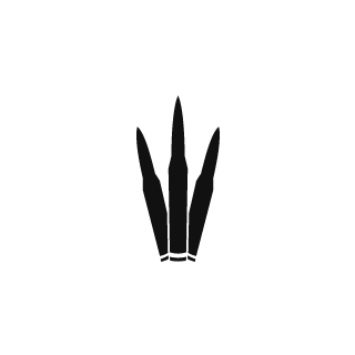 DopeBoy__92's emblem