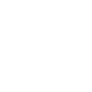 ELSPACETOAD's emblem